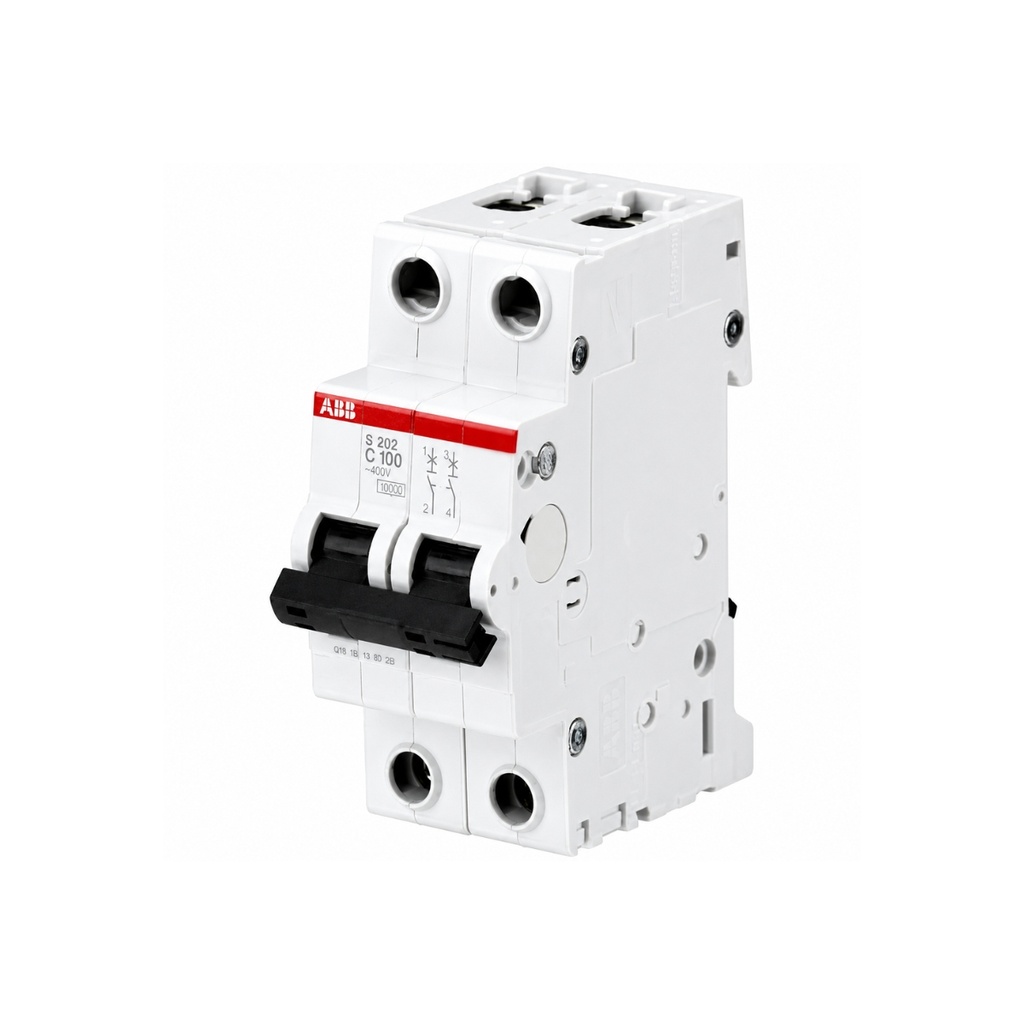Int. Riel Din S 2X100A. - Abb - S202-C100